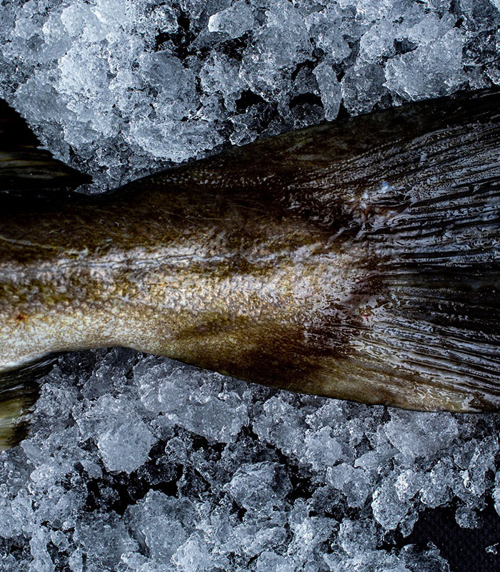 Isbiter-Røkelaks-Pinnekjøtt-Lutefisk-Spekeskinke-Fenalår-Rakfisk-Elgkjøtt-Multer-Reinsdyrkjøtt-Mårpølse-Vossakorv-Vigramor-Fiskekaker-Hummer
